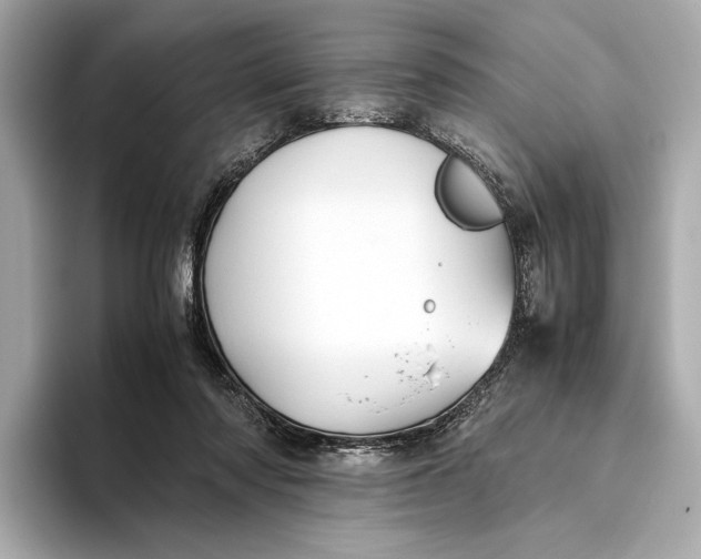 X0000093490310200711020956