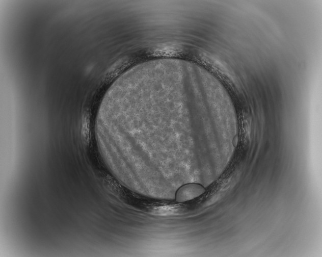 X0000093490312200711020956