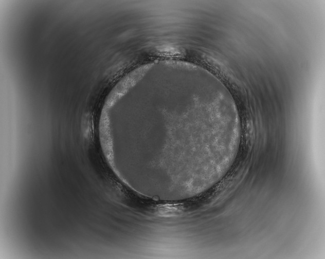 X0000093490320200711020956