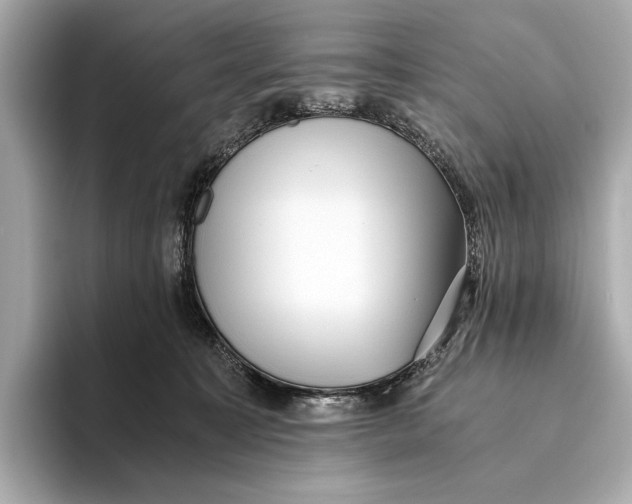 X0000093490323200711020956