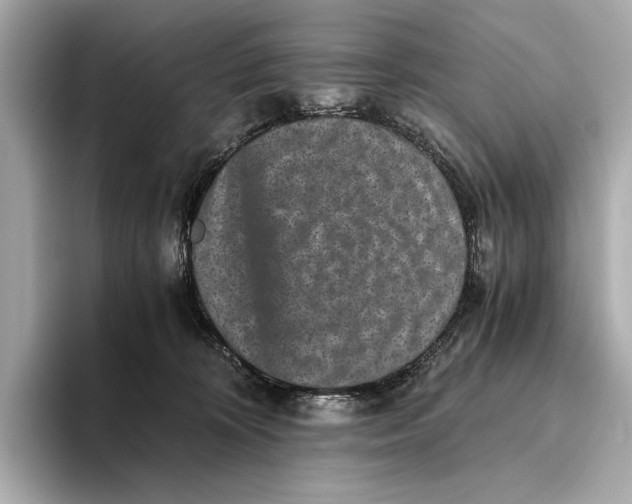 X0000093490324200711020956