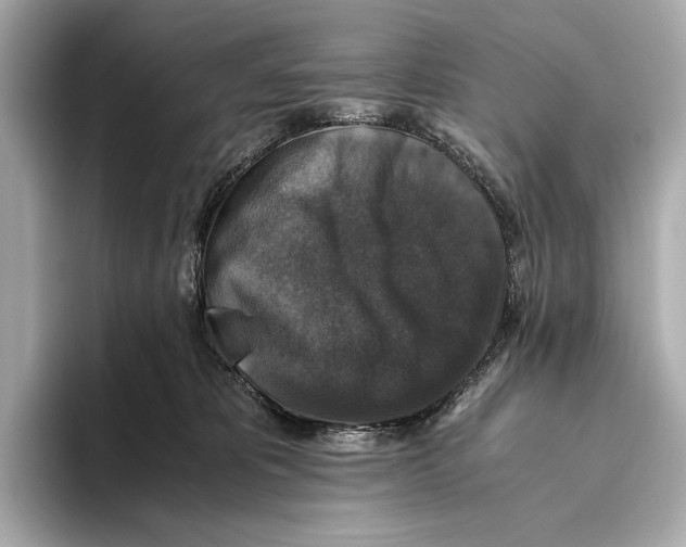 X0000093490325200711020956