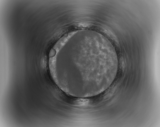 X0000093490328200711020956