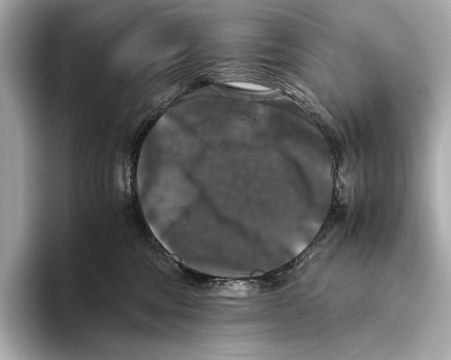 X0000093490330200711020956