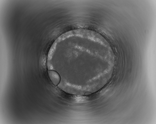 X0000093490336200711020956