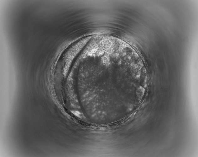 X0000093490337200711020955