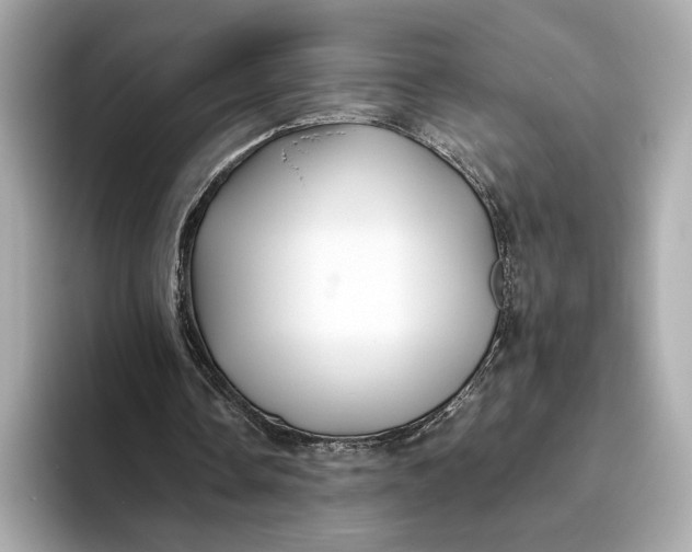 X0000093490338200711020955