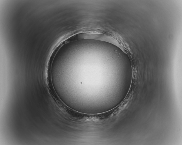 X0000093490340200711020955