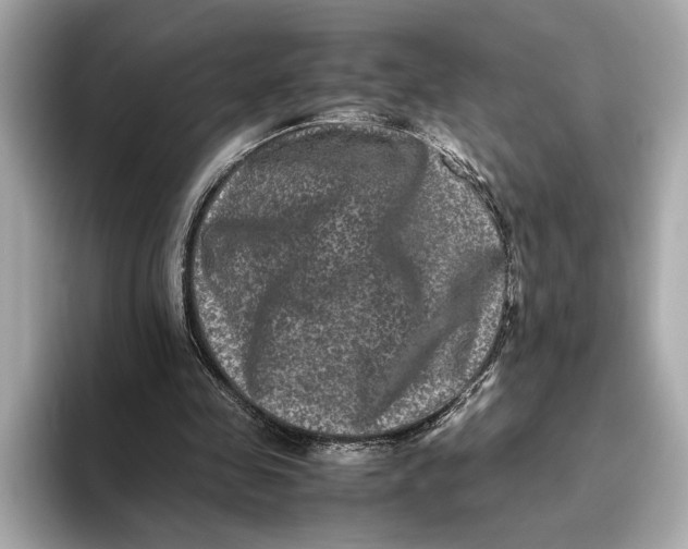 X0000093490341200711020956