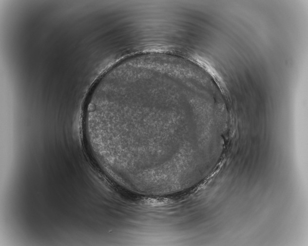 X0000093490346200711020956