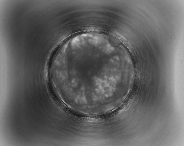 X0000093490347200711020956