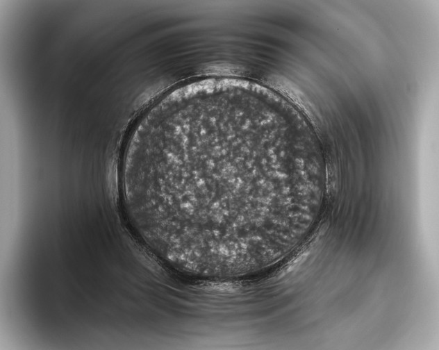 X0000093490349200711020956