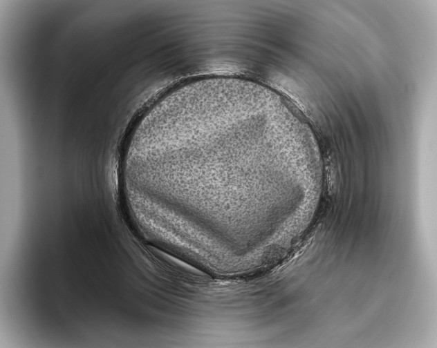 X0000093490350200711020956