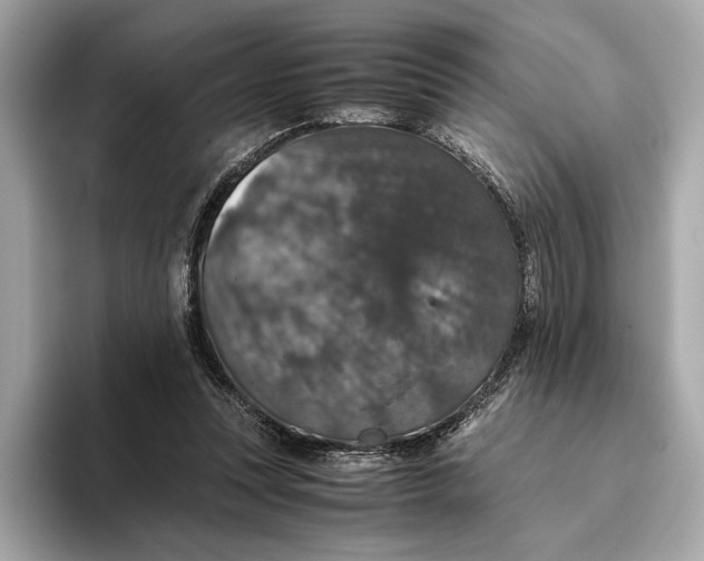 X0000093490351200711020956