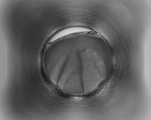 X0000093490352200711020956