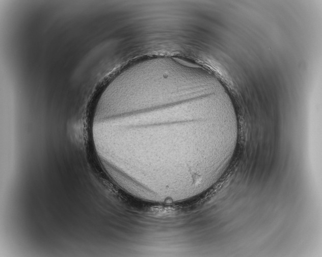 X0000093490354200711020956