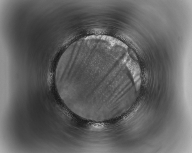 X0000093490355200711020956