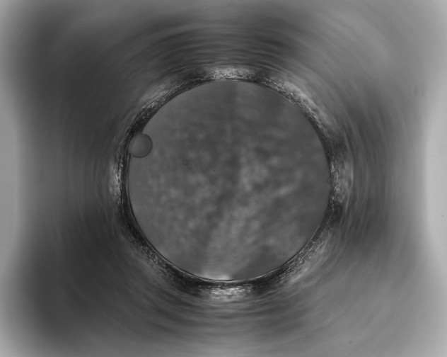 X0000093490357200711020956