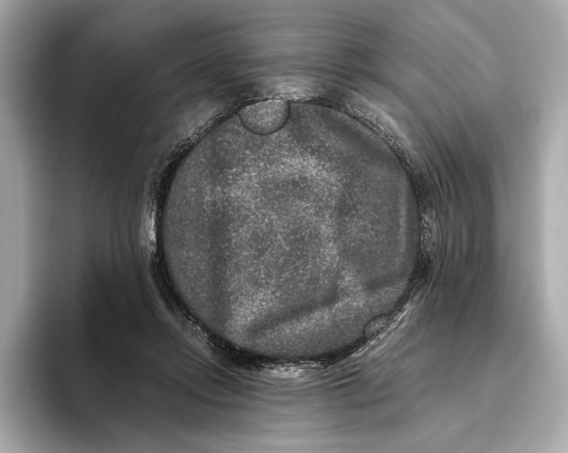 X0000093490358200711020956