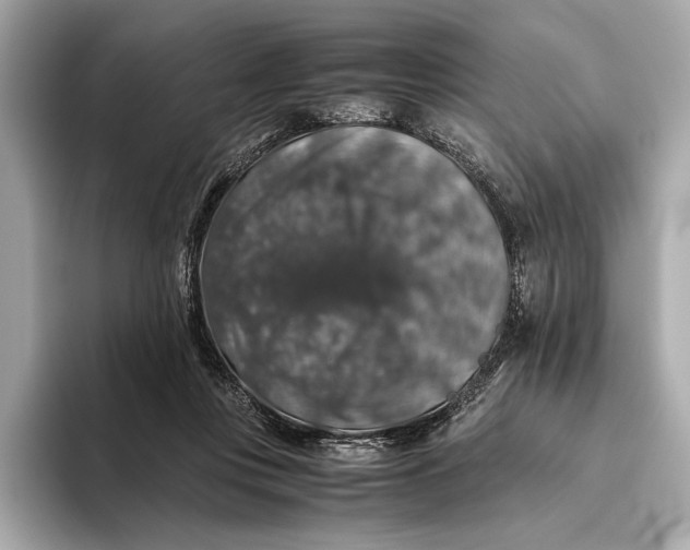 X0000093490359200711020956