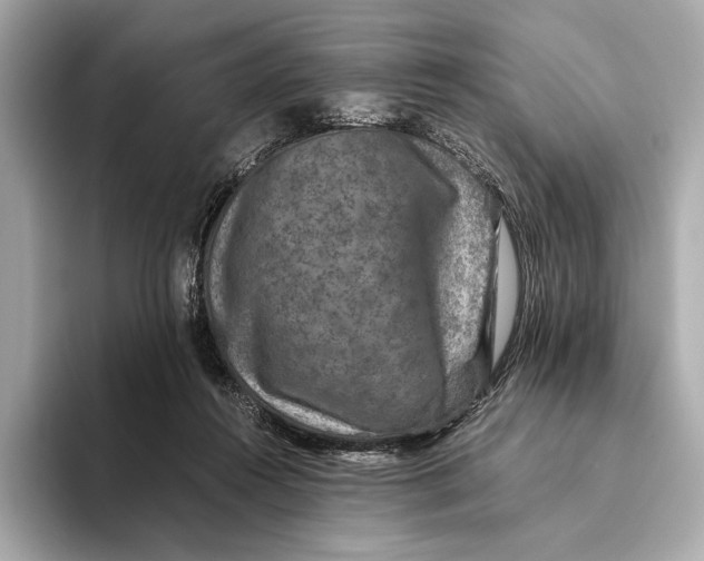 X0000093490360200711020956