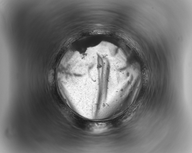 X0000093490361200711020956