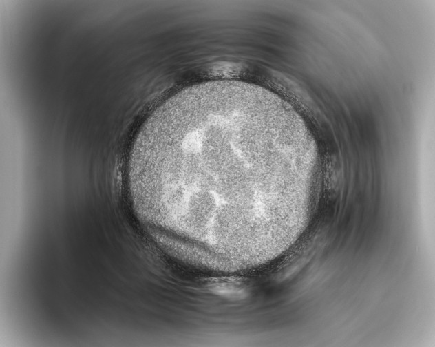 X0000093490363200711020956