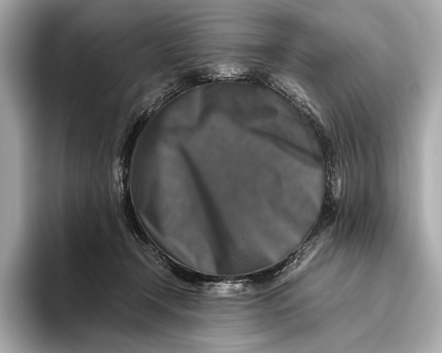 X0000093490366200711020956