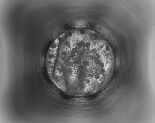 X0000093490367200711020956