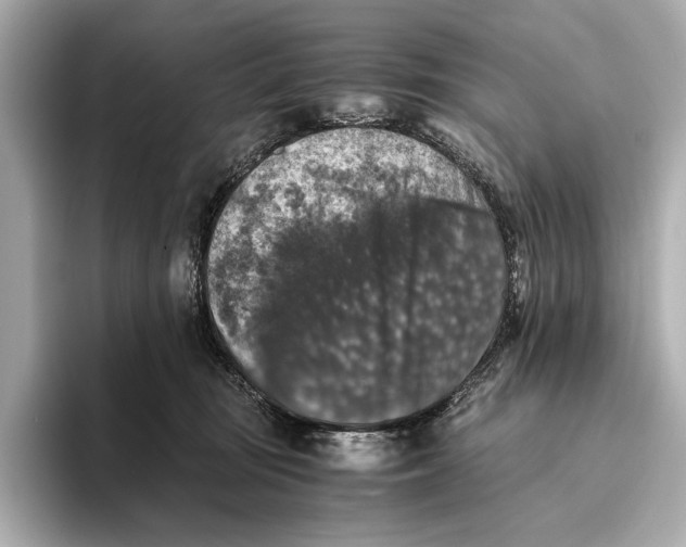 X0000093490371200711020956