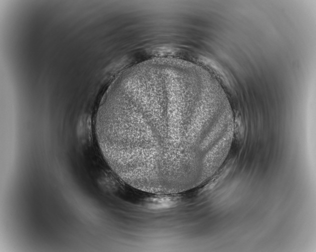 X0000093490381200711020956