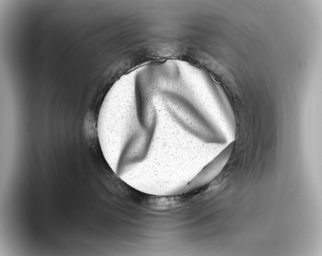 X0000093490384200711020956