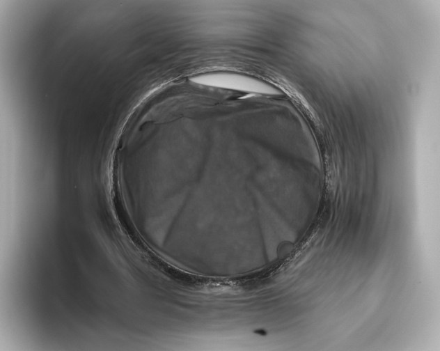 X0000093490386200711020955