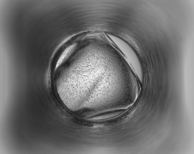 X0000093490388200711020955