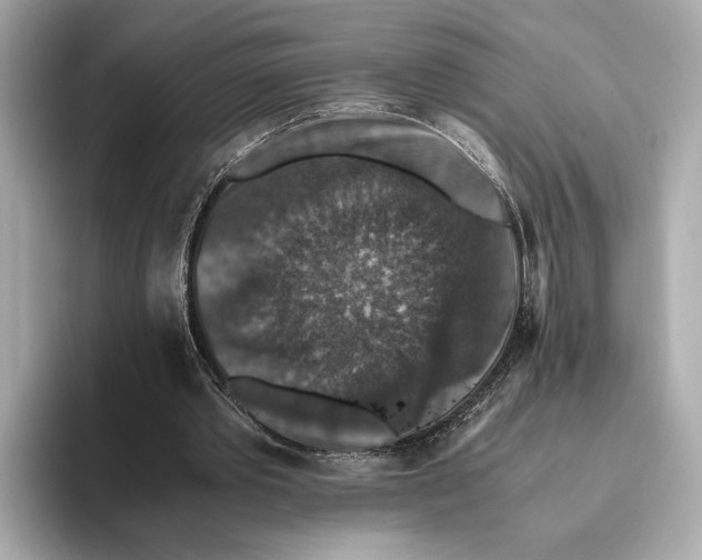 X0000093490389200711020955