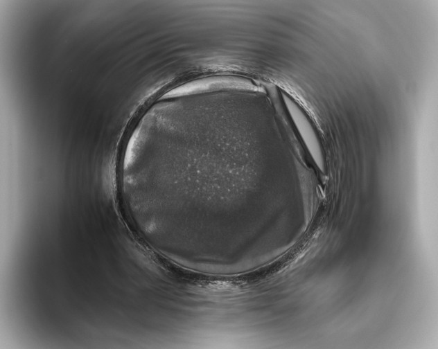 X0000093490390200711020955