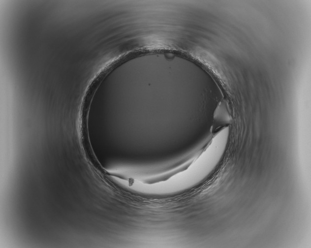 X0000093490391200711020955