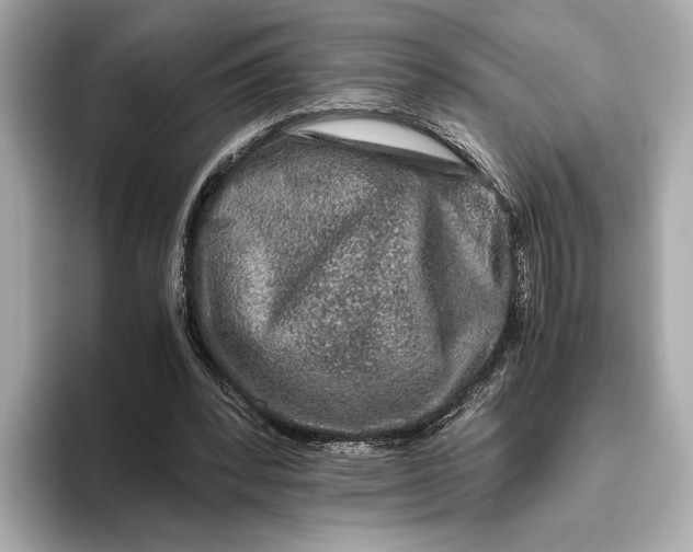 X0000093490392200711020955