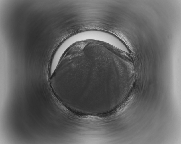 X0000093490393200711020955