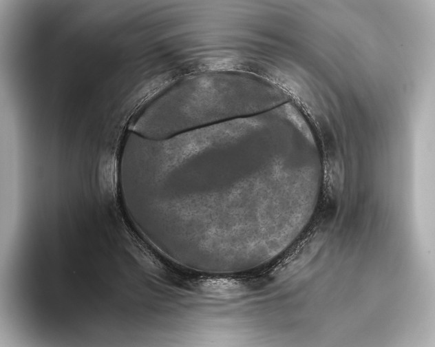 X0000093490397200711020955