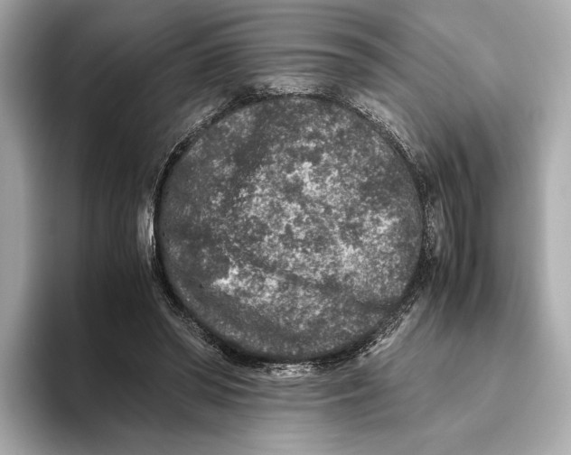 X0000093490398200711020955