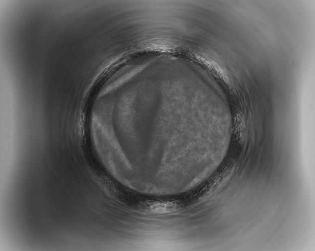 X0000093490400200711020955