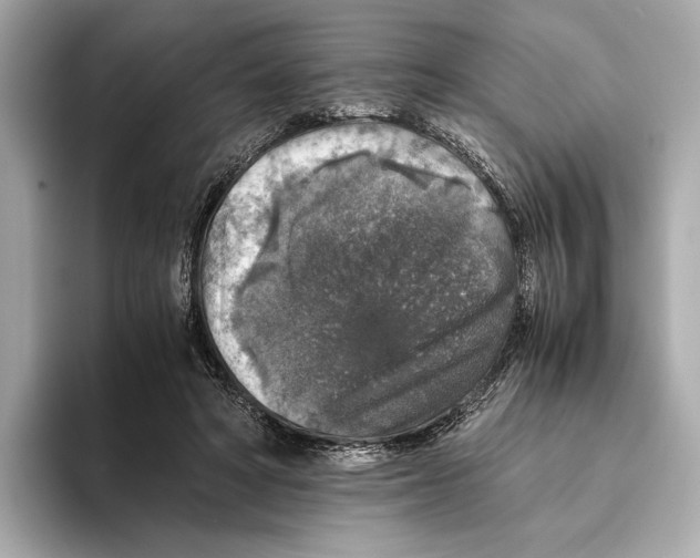 X0000093490402200711020955