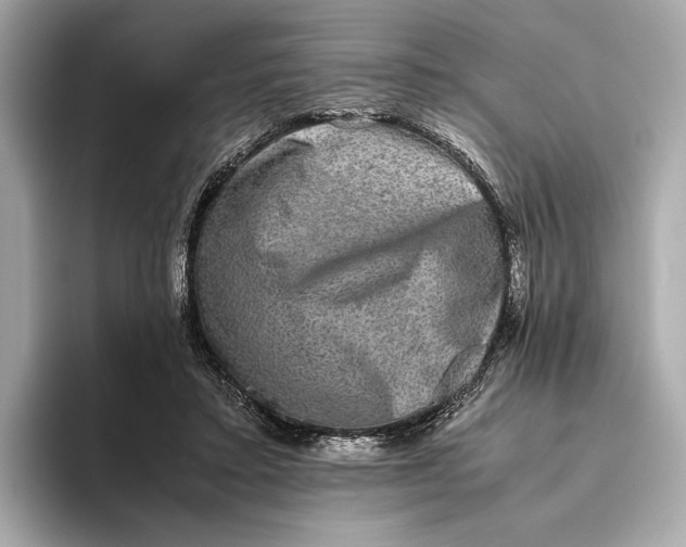 X0000093490403200711020955