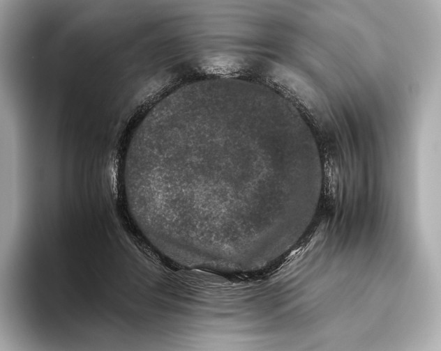 X0000093490404200711020955