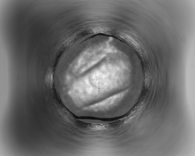 X0000093490405200711020955