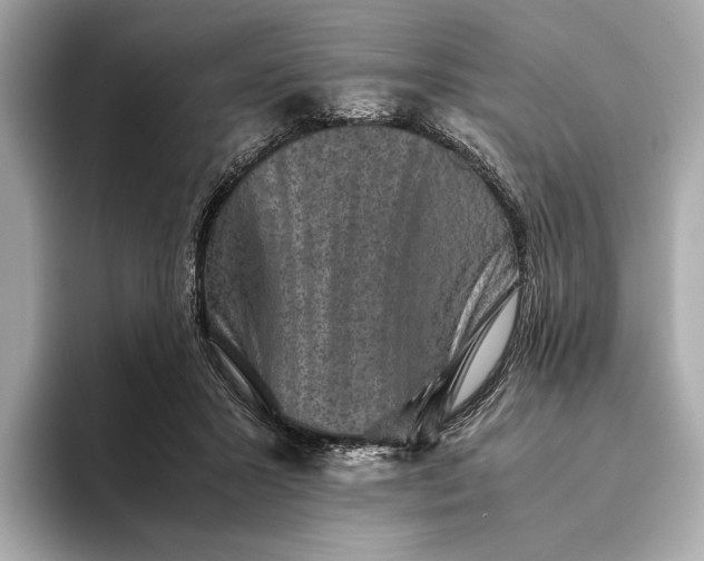 X0000093490407200711020955