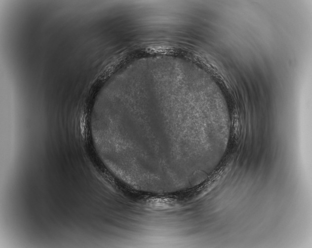 X0000093490408200711020955