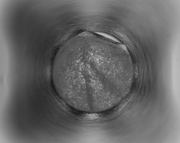 X0000093490409200711020955