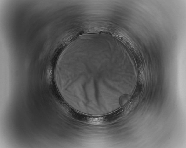 X0000093490410200711020955